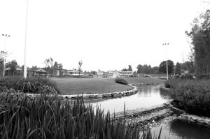 風景園林 華僑城