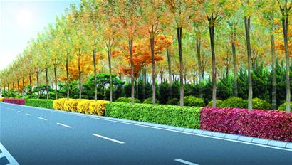 青島 景觀 灌木