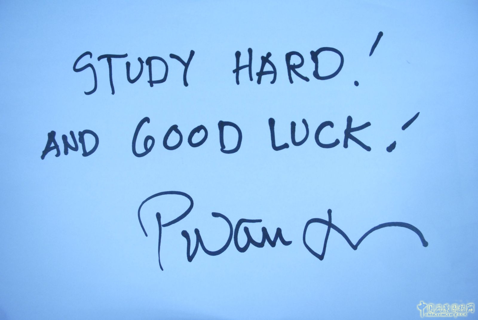 風景園林 皮特沃克