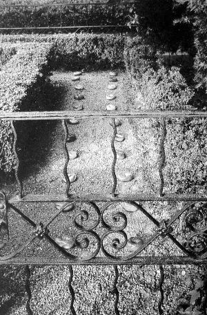 風(fēng)景園林 瑪薩舒瓦茨