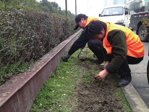 風景園林 蕭山 園林 綠化 補綠