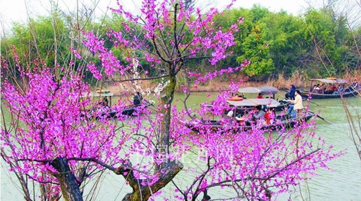 西溪濕地 保護(hù)工程 濕地文化