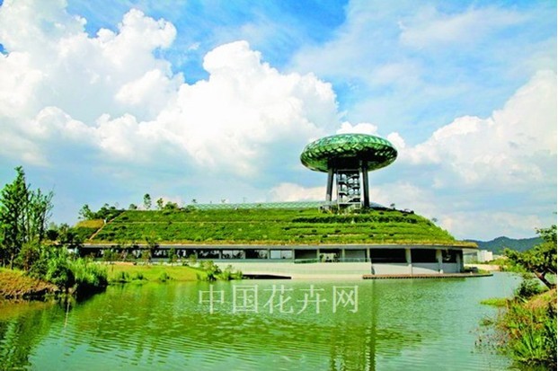 西溪濕地 保護(hù)工程 濕地文化