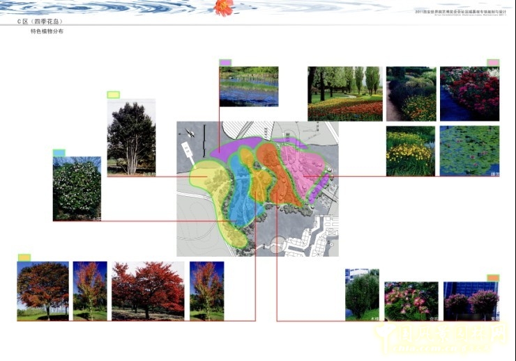 盛葉夏樹 世園會 景觀規劃 植物配置