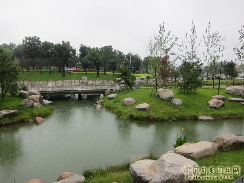 盛葉夏樹 世園會 景觀規劃 實景圖