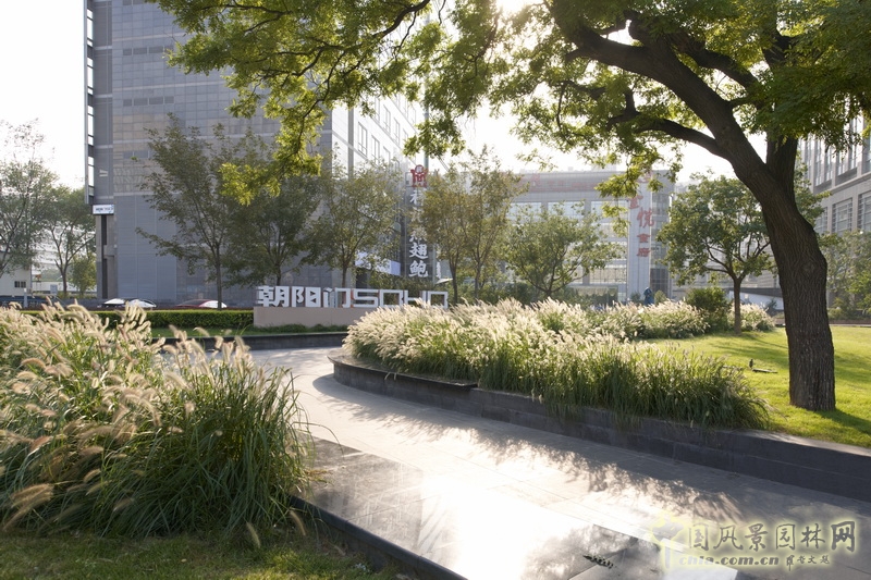 朝陽門SOHO 盛葉夏樹 景觀設計 實景照片