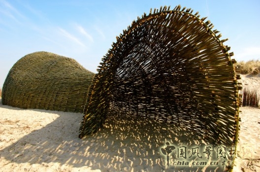 沙蟲 沙漠景觀設計 世界園林 規劃設計 中國風景園林網