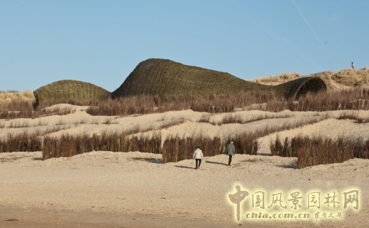 沙蟲 沙漠景觀設計 世界園林 規劃設計 中國風景園林網