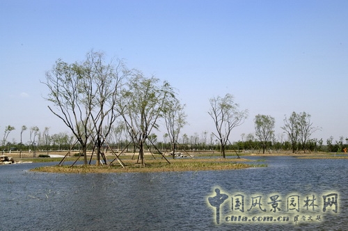 張新宇 大興新城濱河森林公園  規劃設計 設計師廣場 中國風景園林網