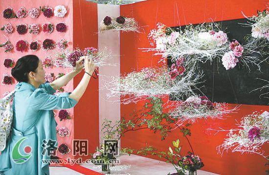 插花 牡丹 花藝