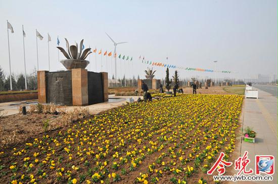 天津 花卉 生態