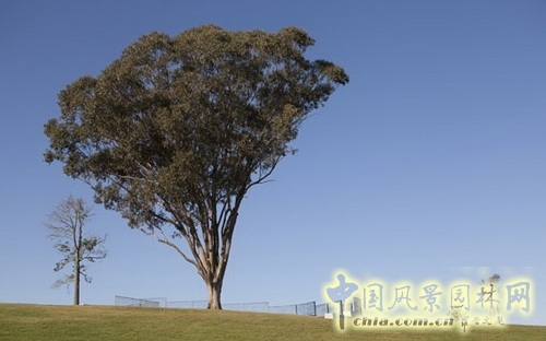 悉尼西部公園設(shè)計 世界園林  規(guī)劃設(shè)計 中國風(fēng)景園林網(wǎng)