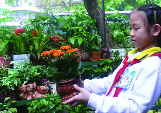 養護 汕頭 花卉