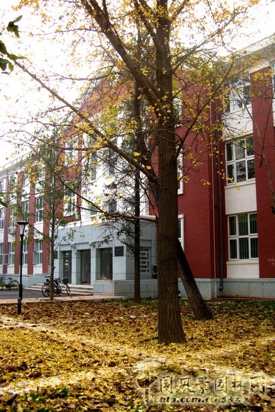 郭明 景觀設(shè)計(jì) 北京園博會 設(shè)計(jì)師廣場 北大醫(yī)學(xué)部 中國風(fēng)景園林網(wǎng)