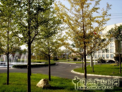 郭明 中國疾病預防控制中心 景觀設計 中外園林 中國風景園林網