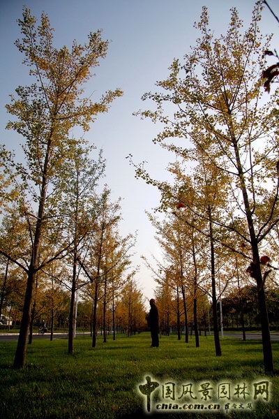 郭明 中國疾病預防控制中心 景觀設計  中外園林 中國風景園林網