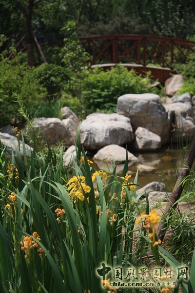 郭明 融科橄欖城 景觀設計 景觀師 中國風景園林網