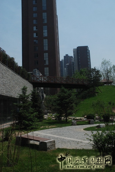 郭明 融科橄欖城 景觀設計 景觀師 中國風景園林網