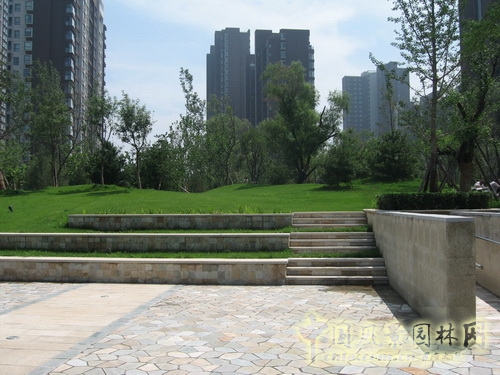 郭明 融科橄欖城 景觀設(shè)計 景觀師 中國風(fēng)景園林網(wǎng)