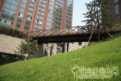 郭明 融科橄欖城 景觀設(shè)計 景觀師 中國風(fēng)景園林網(wǎng)