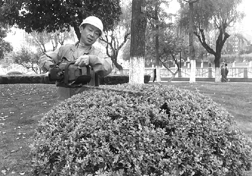 城市 綠化 管理