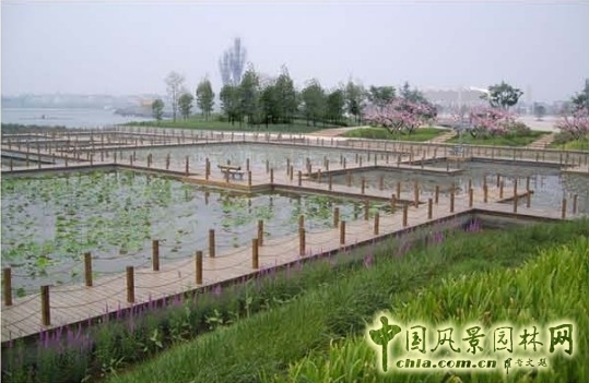 翟俊 景觀設計 七星湖公園