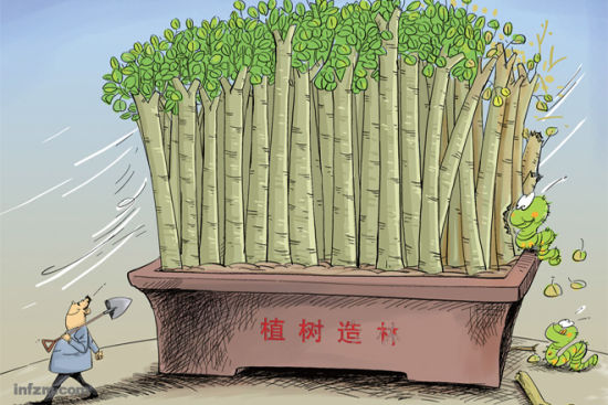 義務植樹 生態建設 植樹造林數據