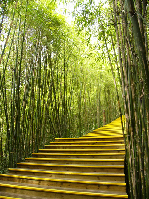 中國風景園林網 風景園林師 顧志凌