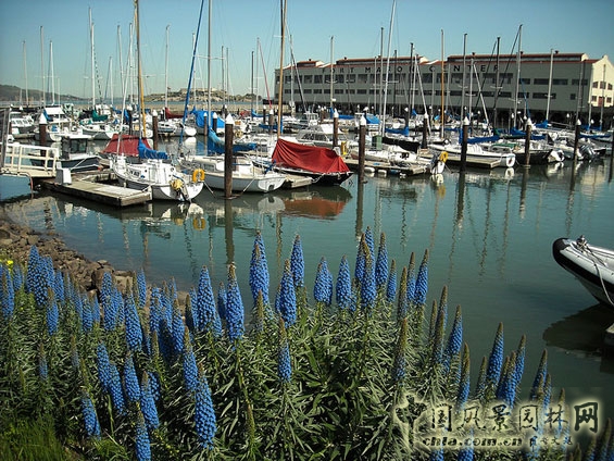 福特-梅森中心 設計方案 國際動態 中國風景園林網