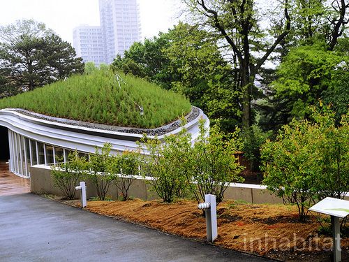 紐約布魯克林植物園游客中心