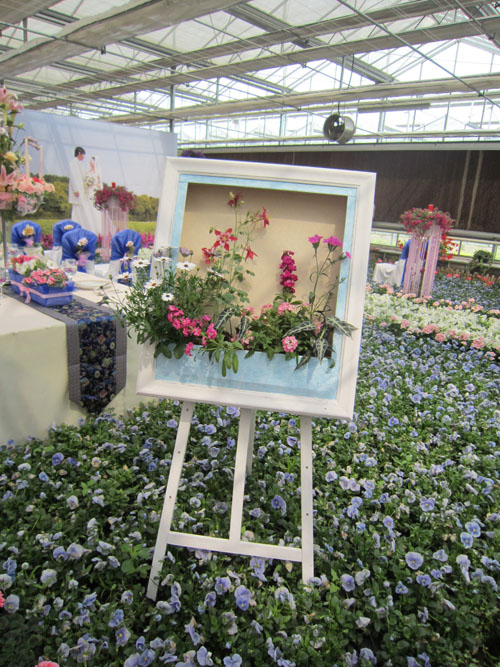 草花 應用 婚禮