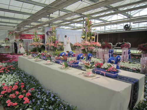 草花 應用 婚禮