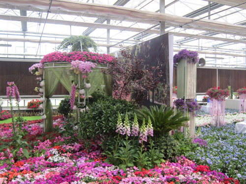 草花 應(yīng)用 婚禮