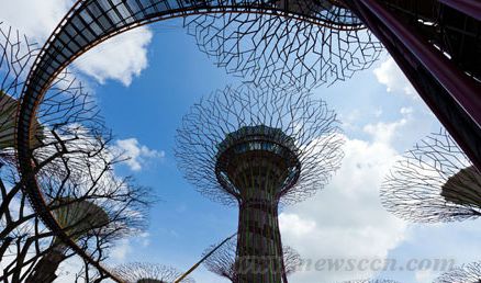 新加坡 海灣花園 景觀設計 建筑設計 中國風景園林網