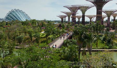 新加坡 海灣花園 景觀設計 建筑設計 中國風景園林網