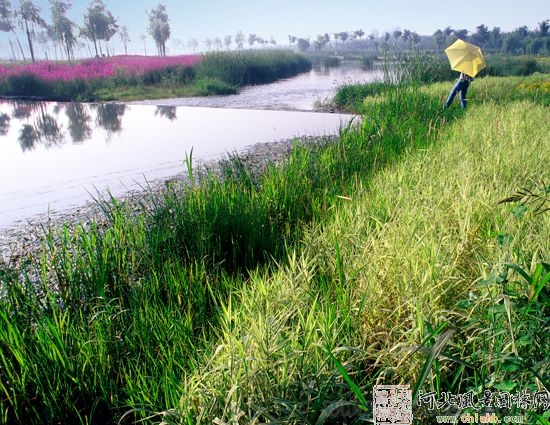 唐山 園林城市群 綠色 遷安 中國風景園林網(wǎng)