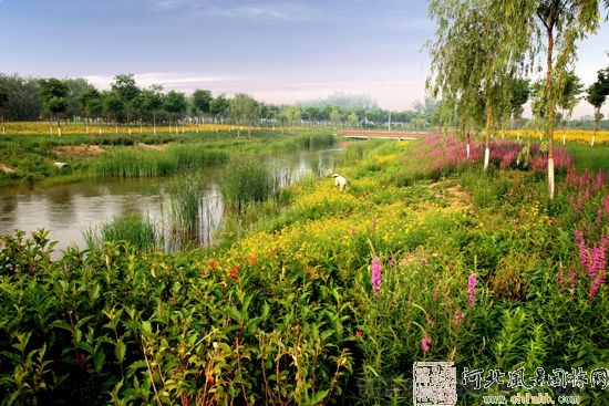 唐山 園林城市群 綠色 遷安 中國風景園林網(wǎng)