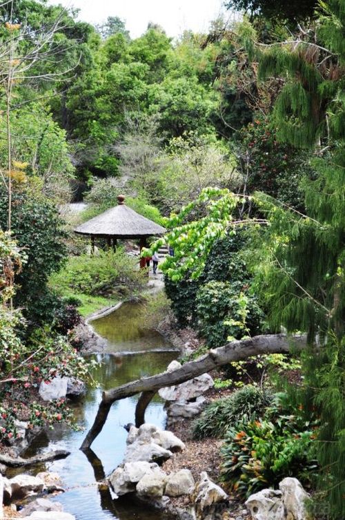 美國 亨廷頓圖書 流芳園 蘇式園林 中國風(fēng)景園林網(wǎng)