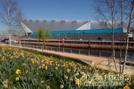 倫敦奧運會水球館 中國風景園林網