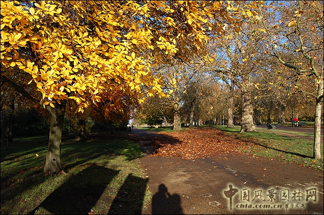 海德公園 中國風景園林網