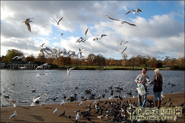 紅框就是當年建造“水晶宮”的位置
