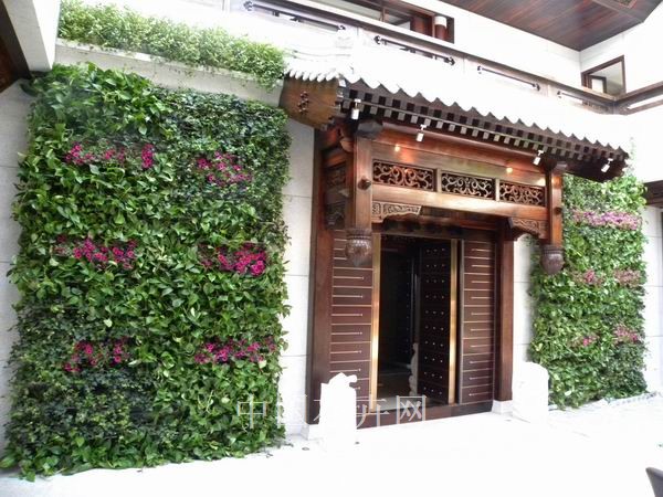 痕量灌溉 澆水 養(yǎng)護