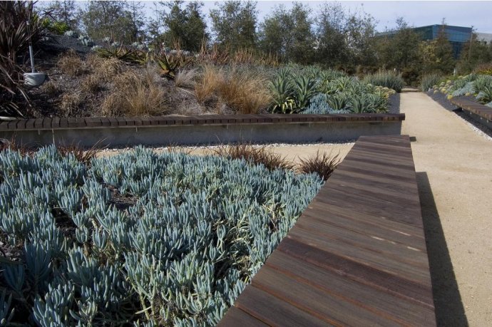 德克薩斯州 沃斯堡市 伯納特 公園 中國風景園林網