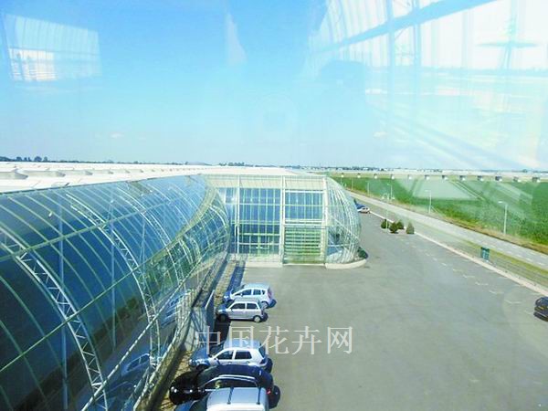 荷蘭 花企 節能