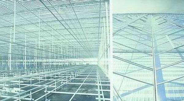 荷蘭 花企 節能