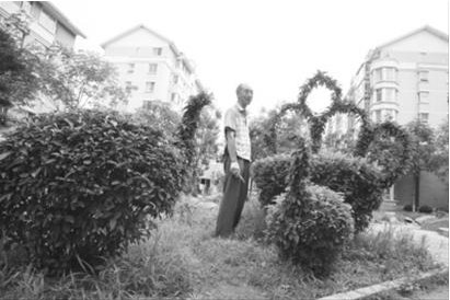 鞍山 園藝 修剪