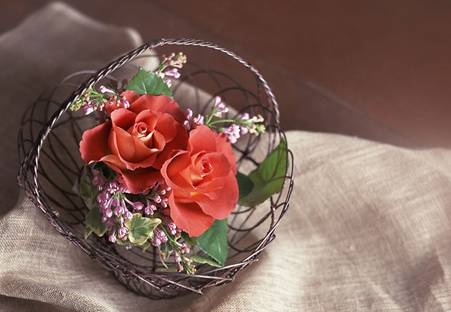 頤和園 插花 花藝