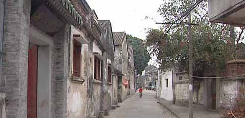 廣東 綠道 香洲