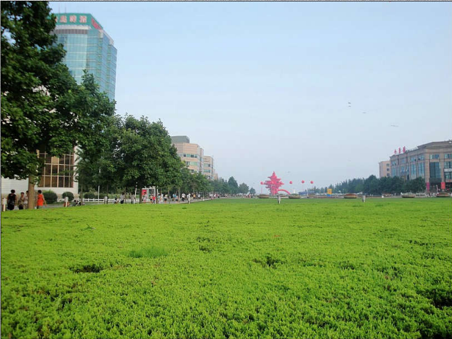 魯班獎  景觀 展示 青島 五四廣場 中國風景園林網