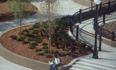 中國風景園林網 規劃設計